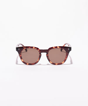 Trunk amber